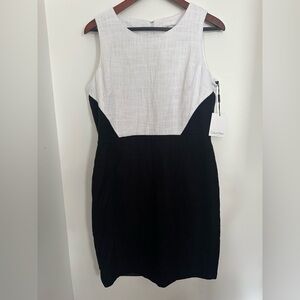 Calvin Klein Black and White Sheath Midi Dress